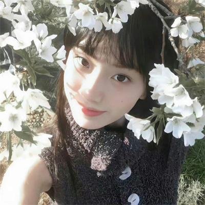 蚁哥正传